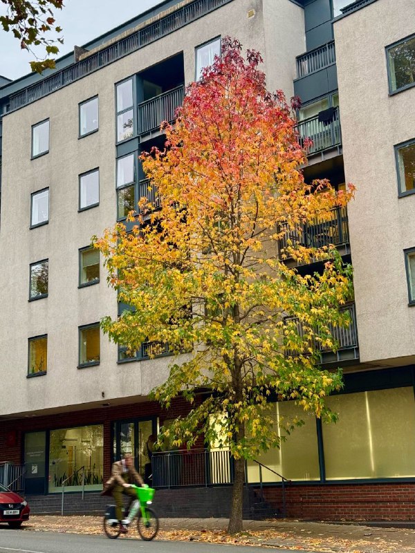 via 天气-预报via 天气-预报